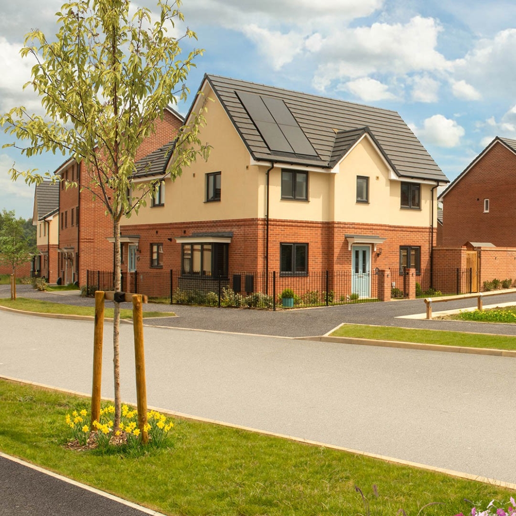 Street scene showing new homes at Malabar by Crest Nicholson