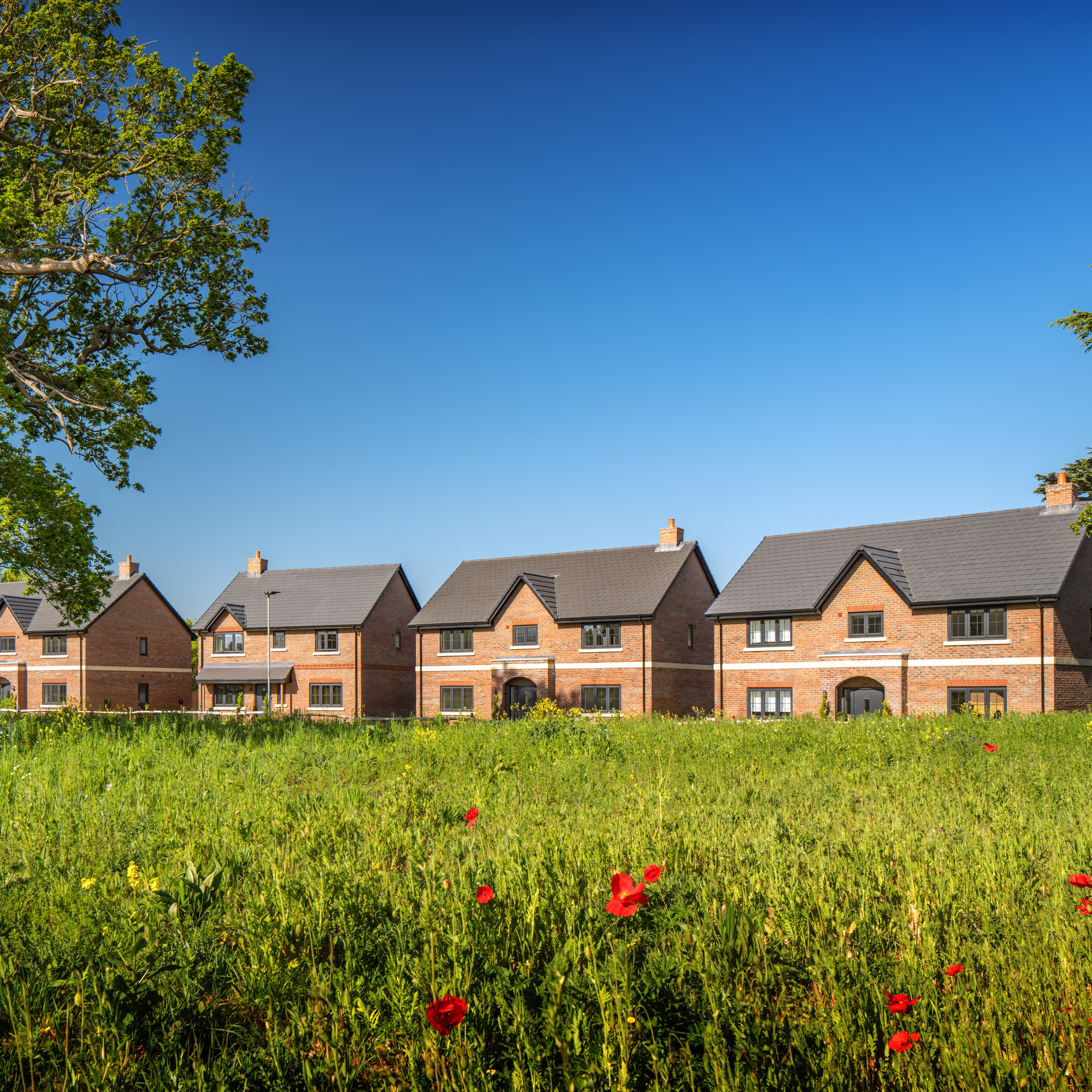 View over green meadow towards new build homes at Windsor Gate
