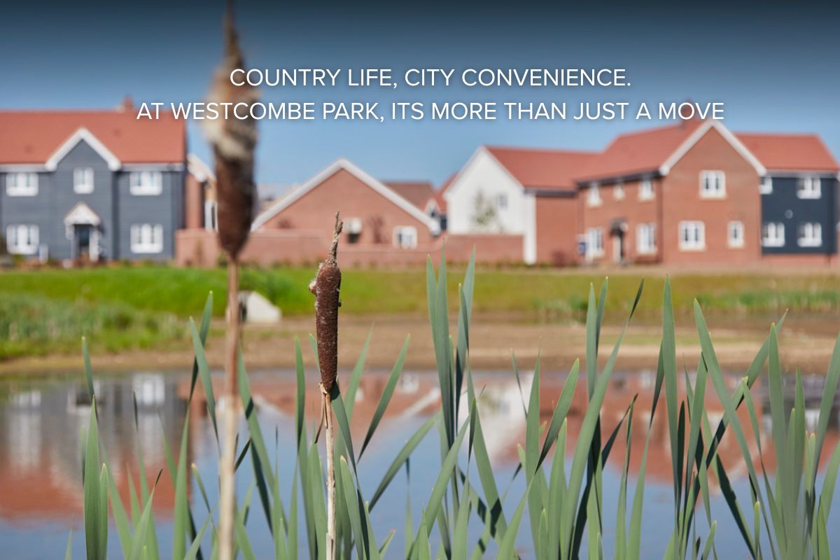 New Homes in Heybridge, Westcombe Park. 