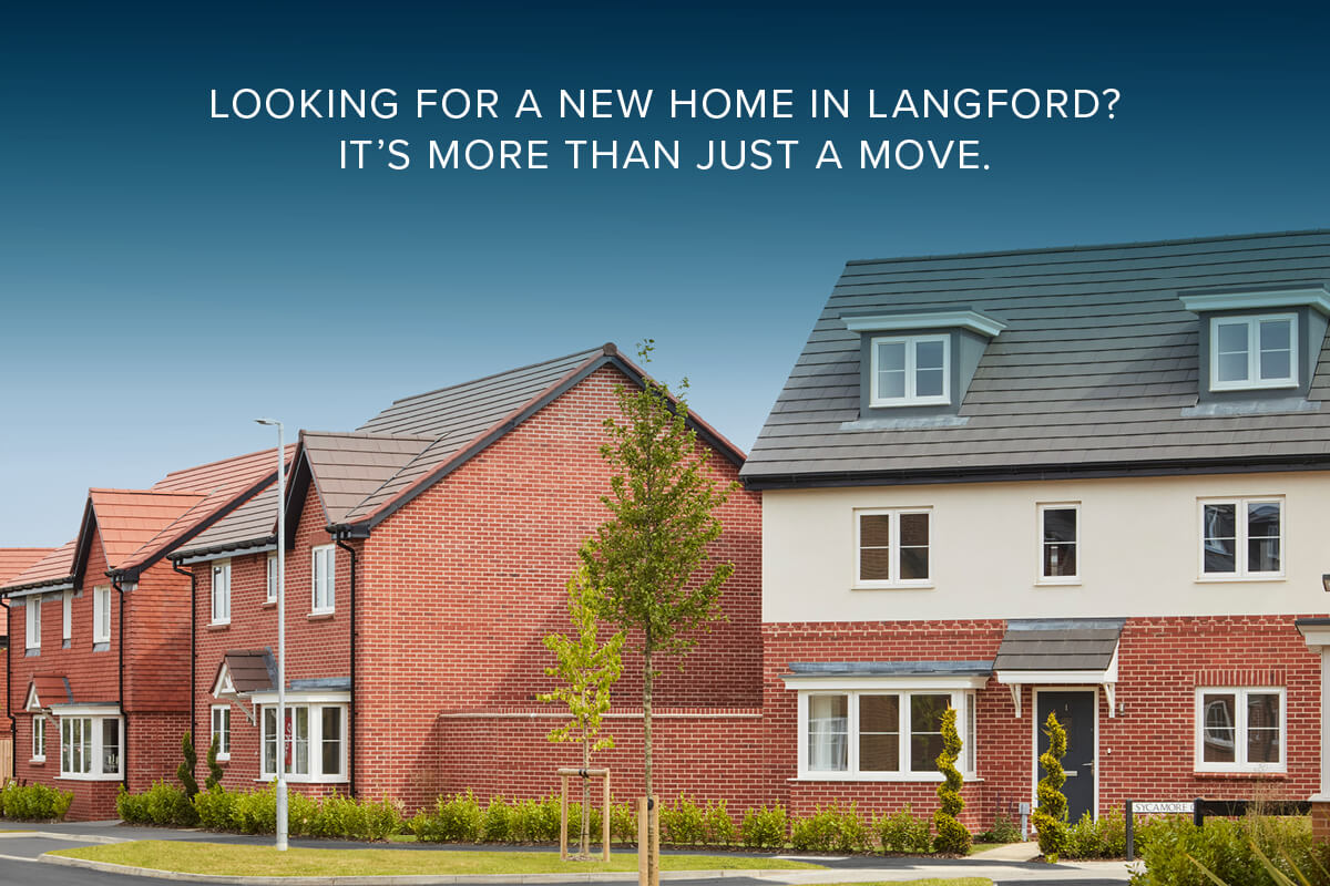 More than Just a move at Lewin Park