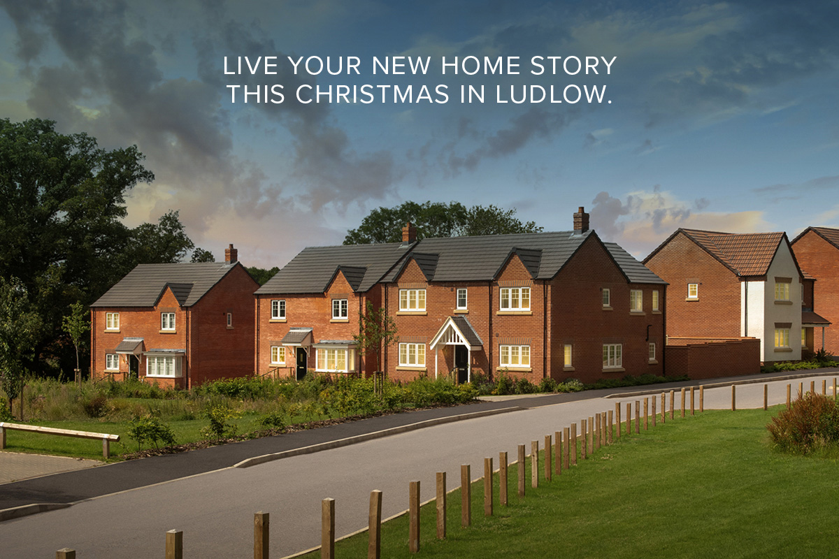 Christmas at Ludlow Green