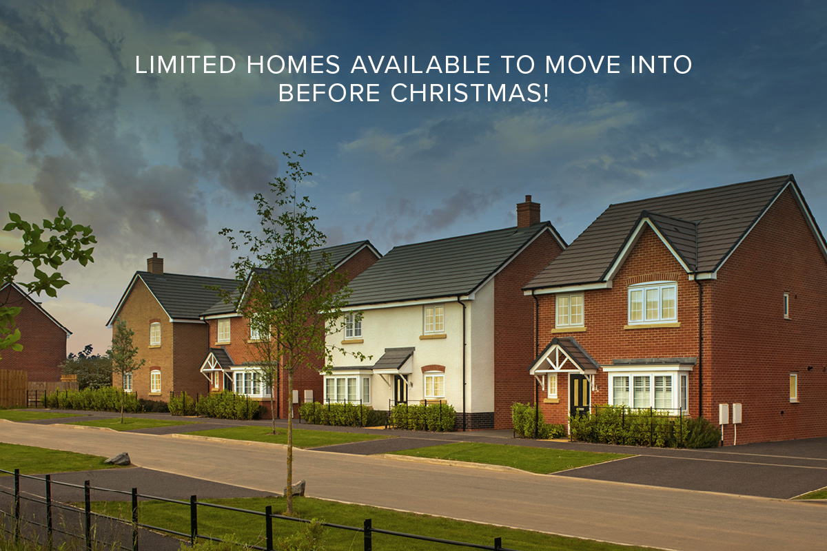 Christmas at Westwood Park