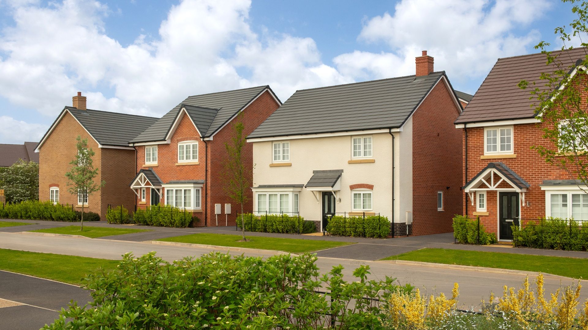 Street Scene Photography taken at Westwood Park