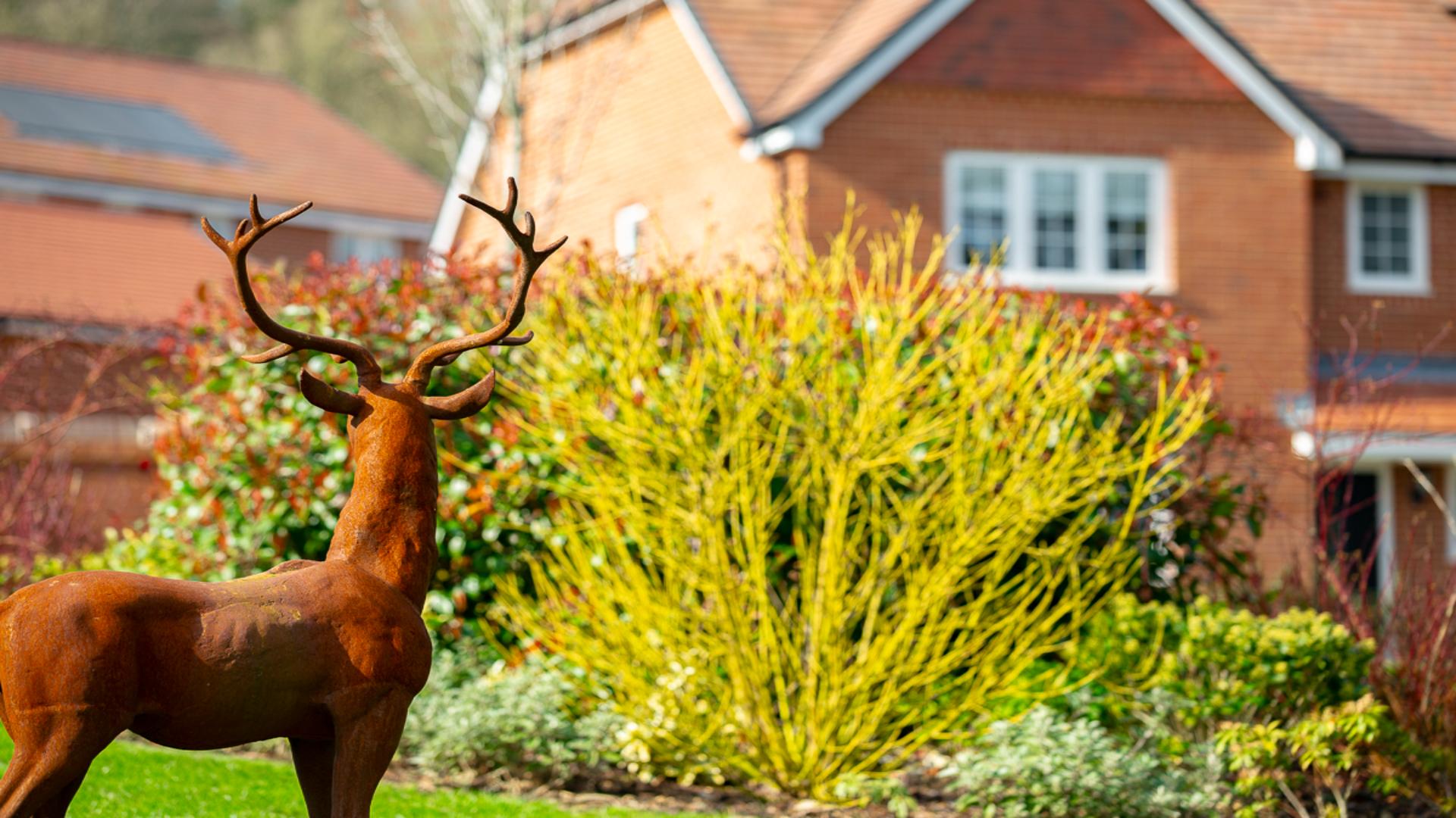 Development Hero Wide images