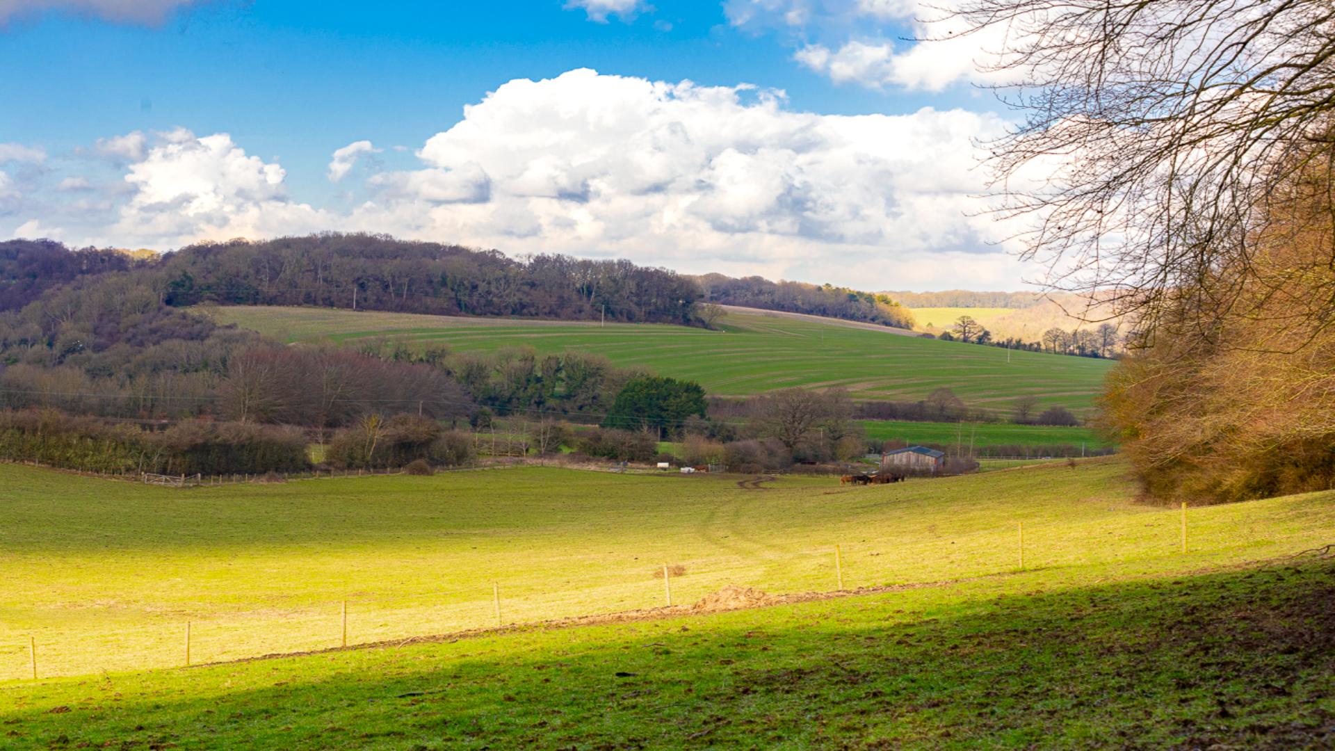 Development Hero Wide images