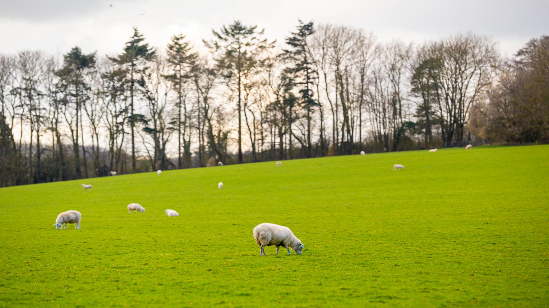 Development Hero Wide images