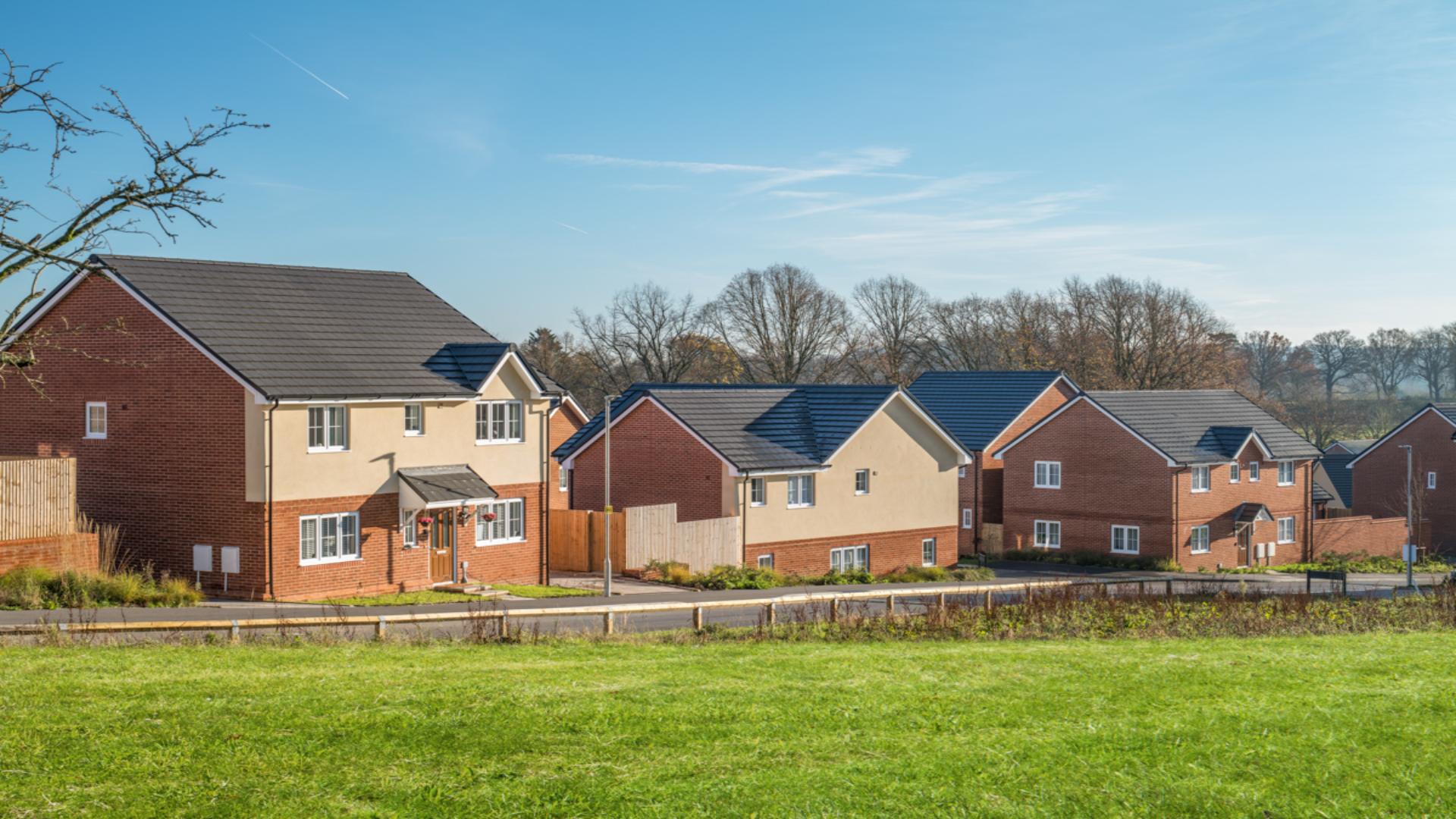 New homes with greenery surrounding it 