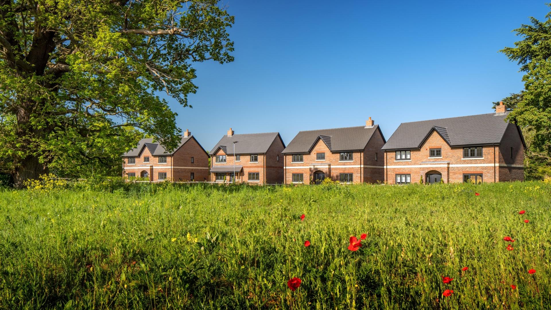 Homes at Windsor Gate next to a wild flower meadow