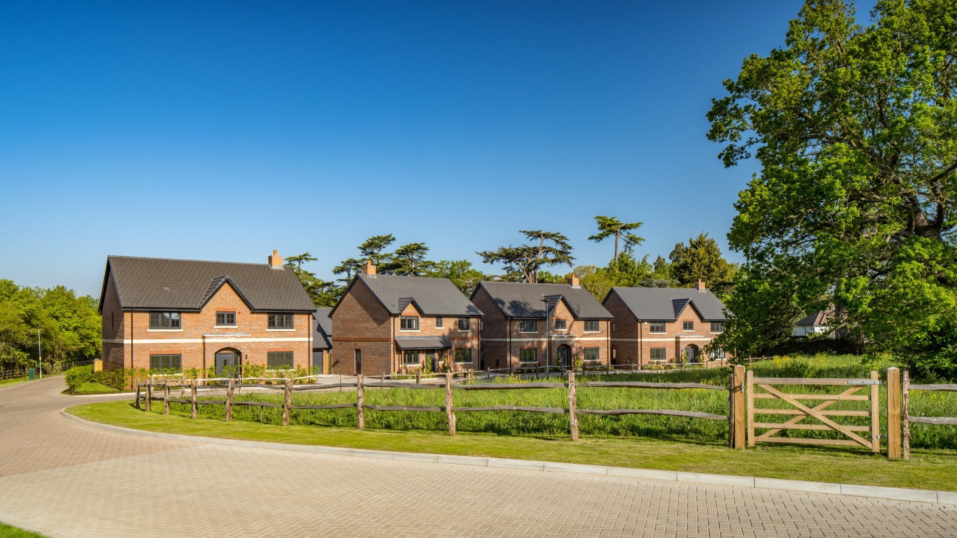 Homes at Windsor Gate overlooking a wildflower meadow