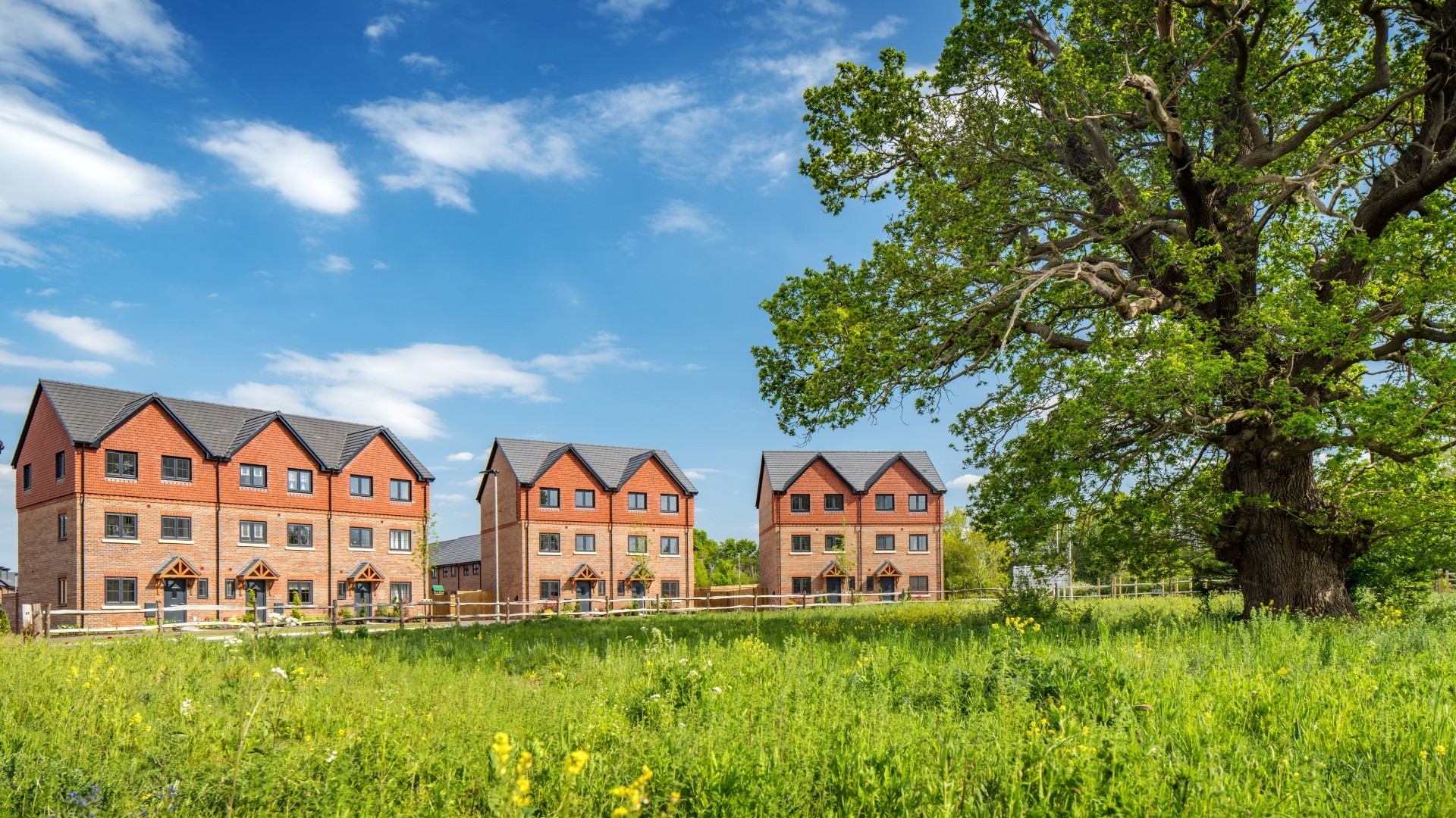 The Hexham homes at Windsor Gate overlooking a wildflower meadow and oak tree