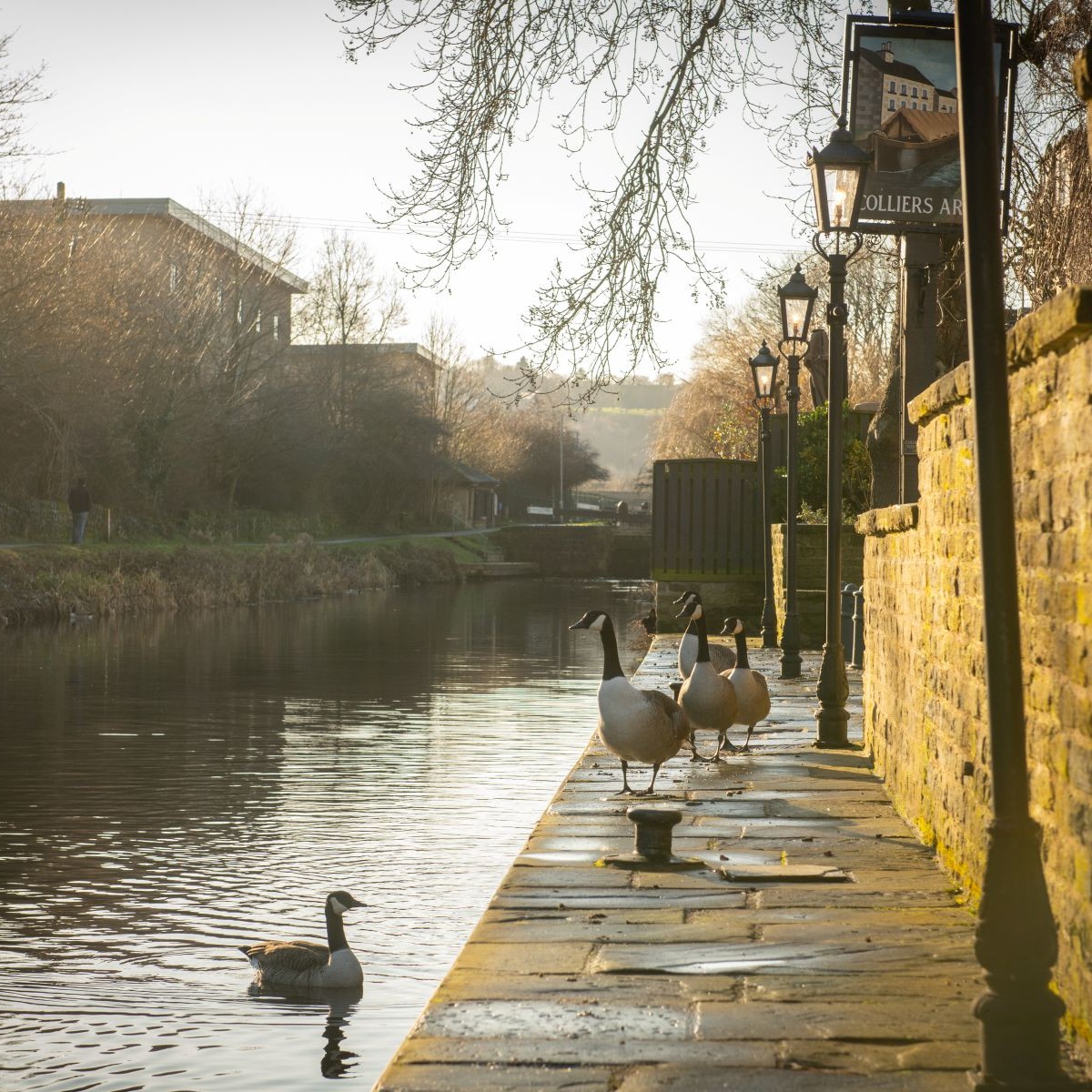 Sophisticated Living Beside the Calder