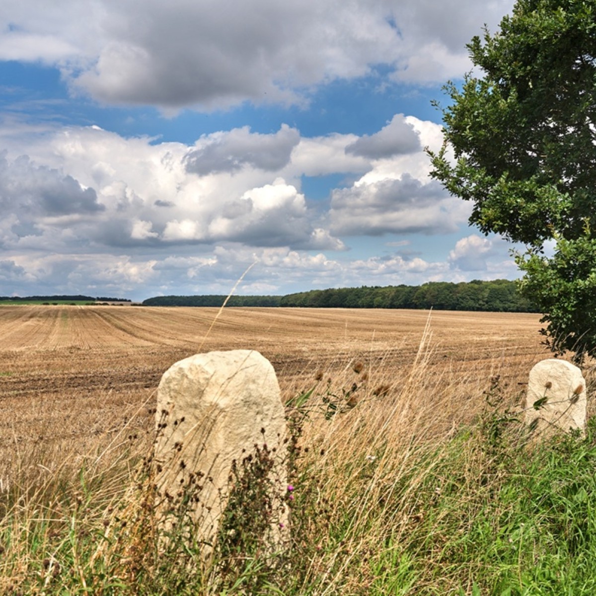 Beautiful Yorkshire countryside surrounding Sprotbrough