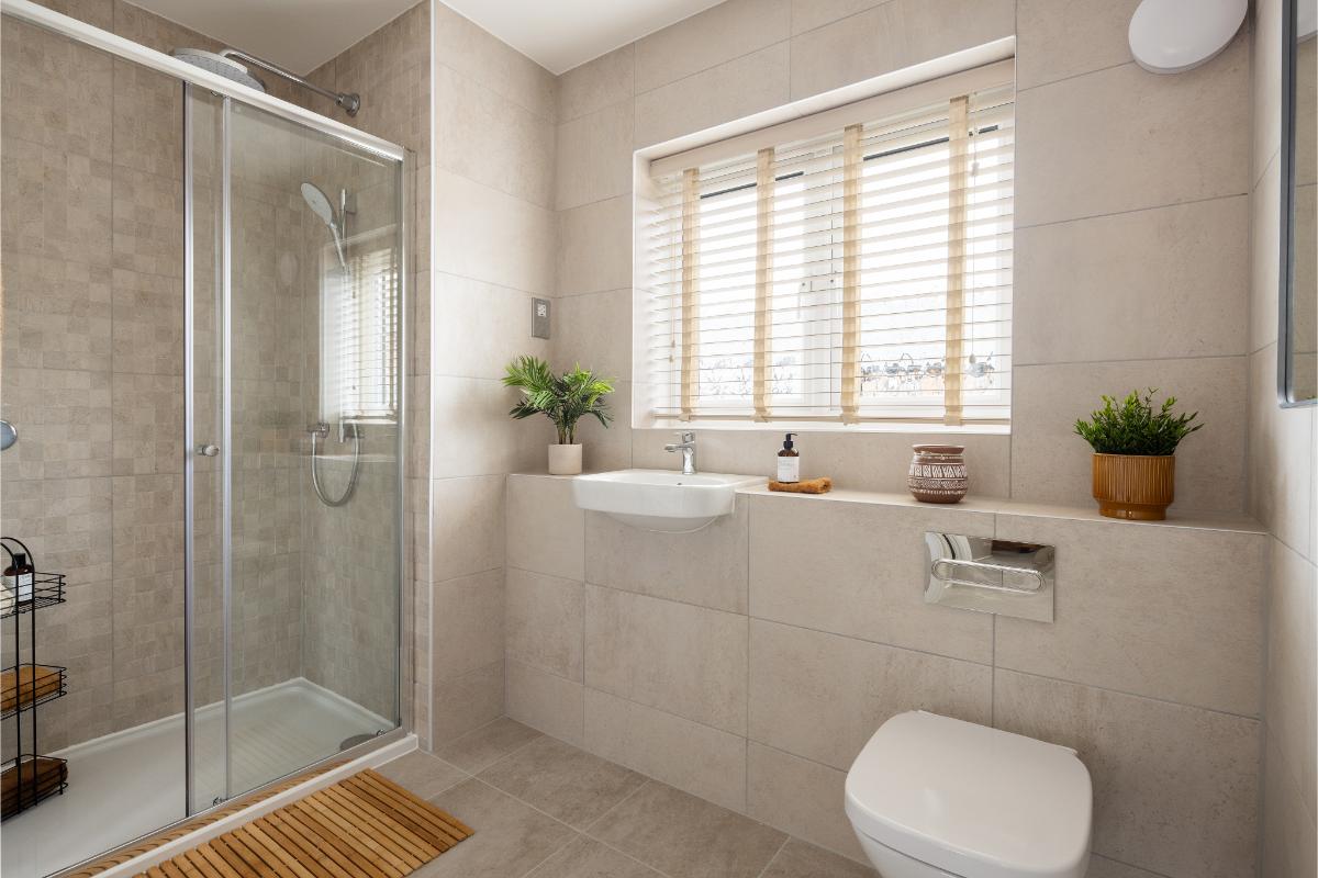 The Derby House type images