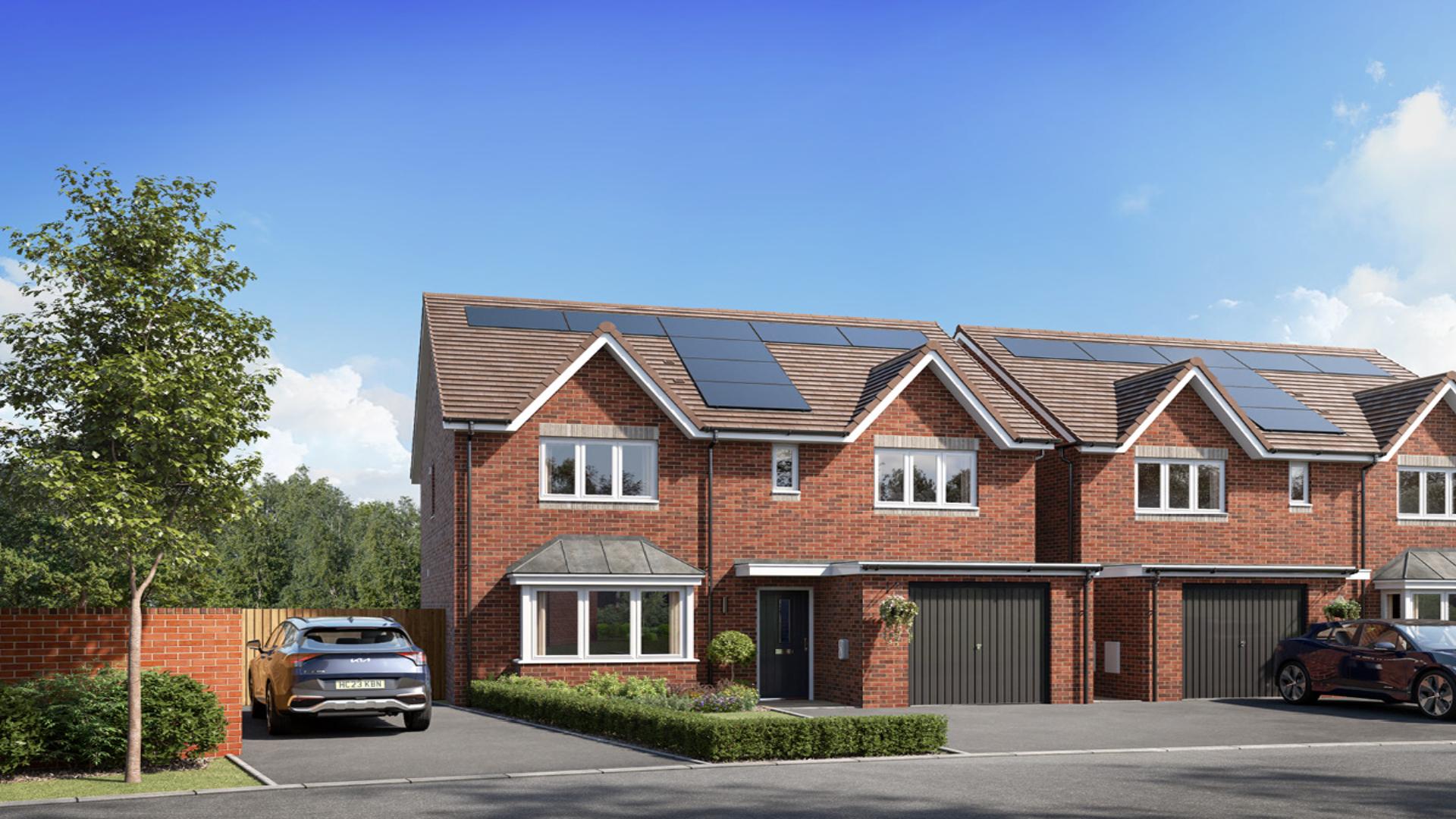 The Bingham CGI