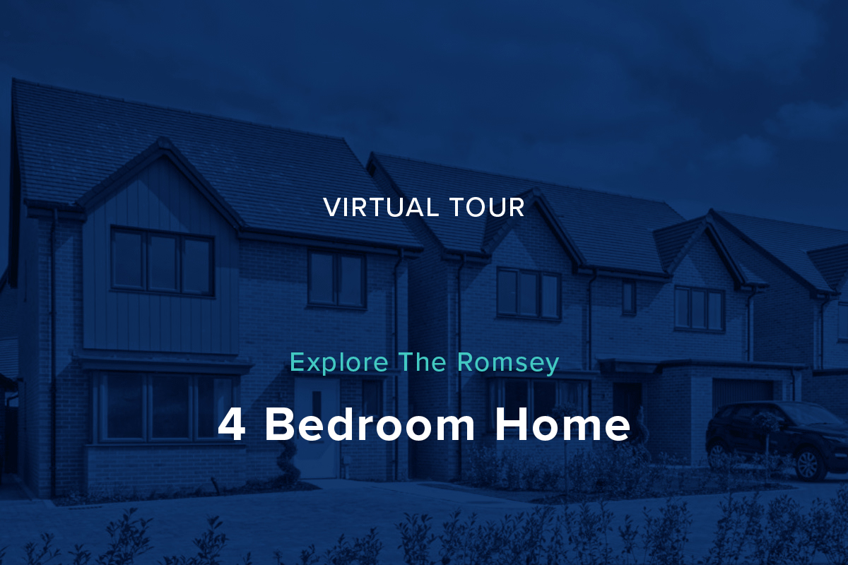 Plots Virtual Tour