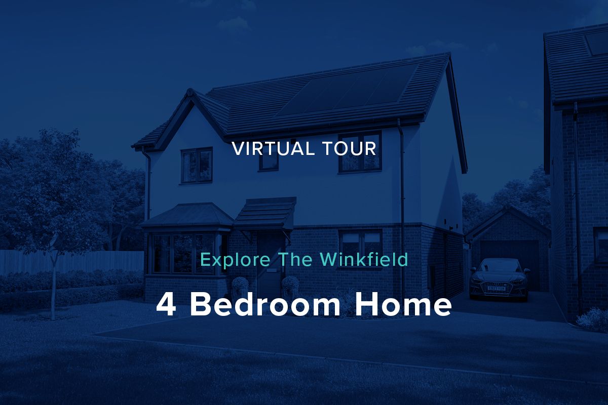 Plots Virtual Tour