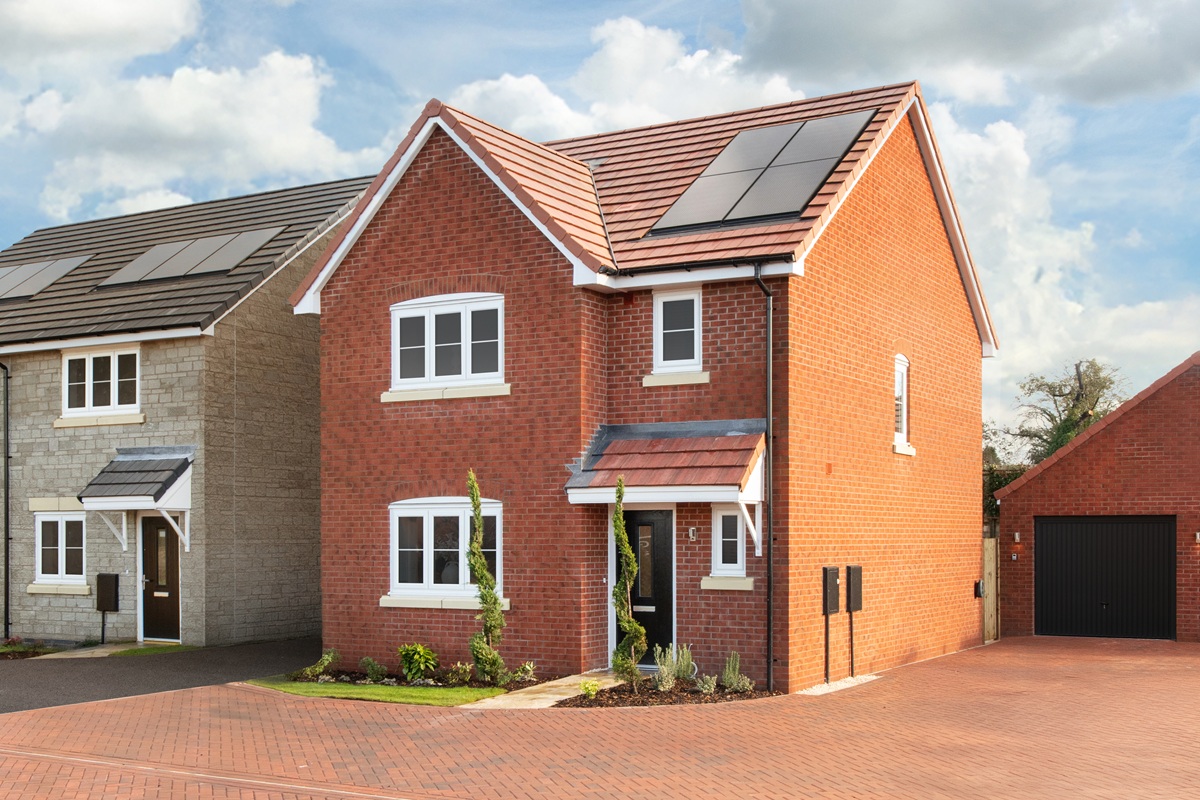 Plots Virtual Tour