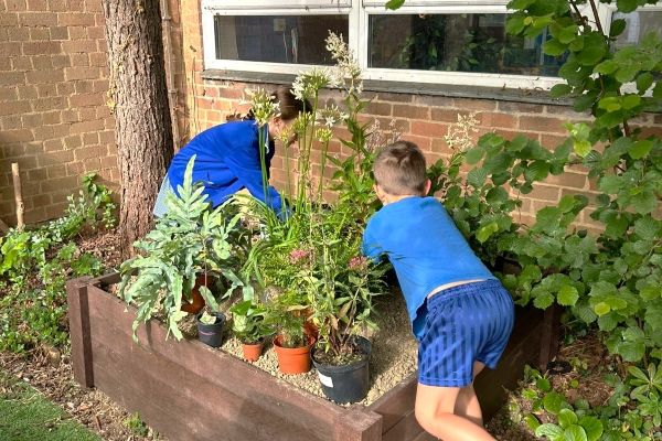 two children planting raised beds