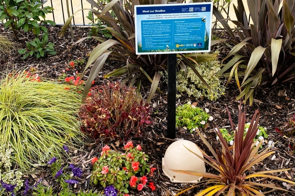 BeeBox and sign in show garden